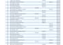 do excel data formatting, analysis and reporting